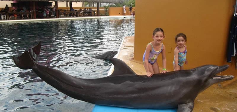 Delfiniti Ixtapa Zihuatanejo, Nado con Delfines en Ixtapa