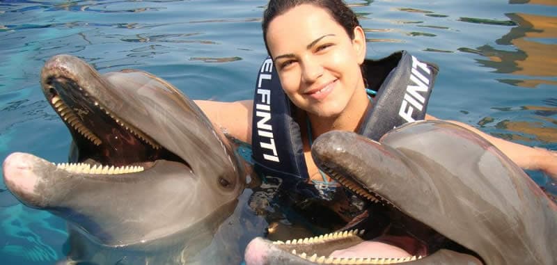 delfiniti, nado con delfines en ixtapa zihuatanejo