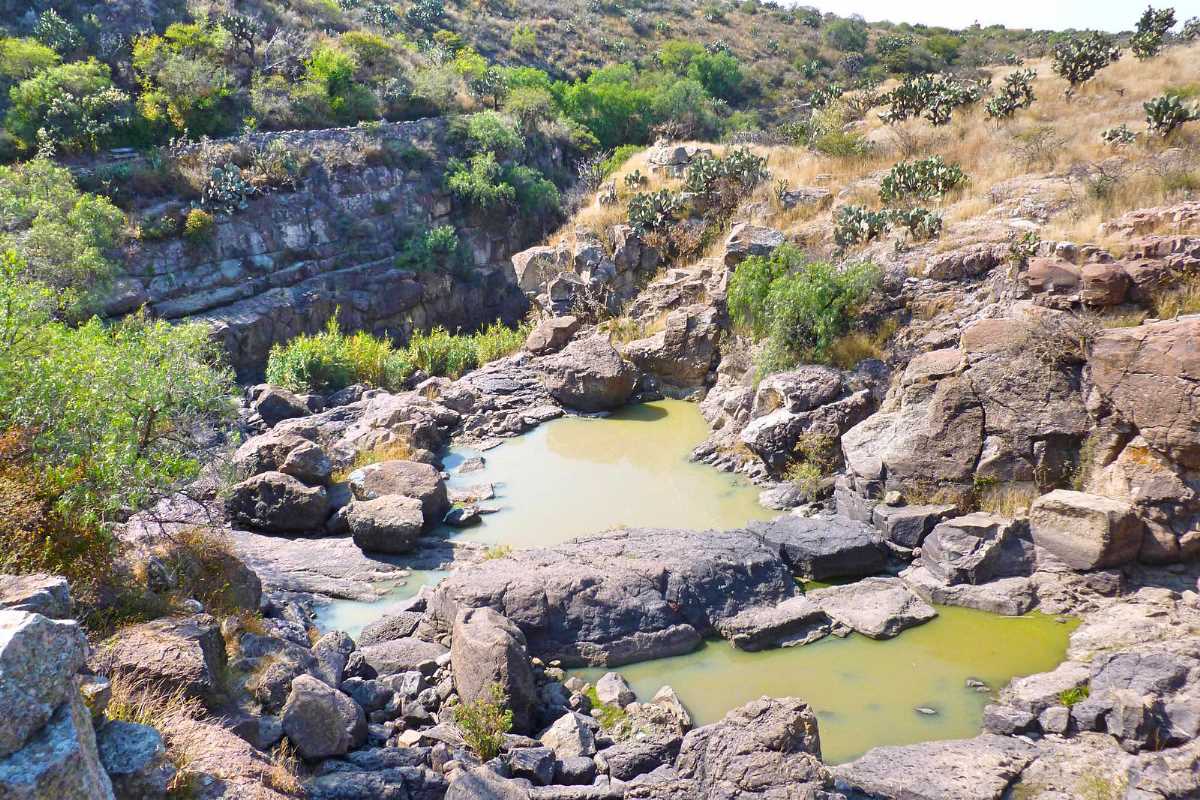 El Charco del Ingenio, Ecoturismo y Reserva Ecológica en San Miguel